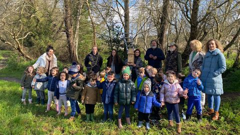 Refugio para murci�lagos en el Gafos