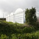 La ampliaci�n de la nave es un invernadero. 