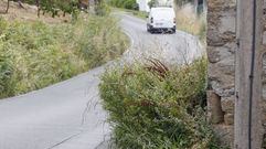 Carretera sin desbrozar, en foto de archivo