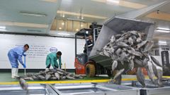 Marfr�o introduce a Mar�n en el ciclo comercial de t�nidos a granel