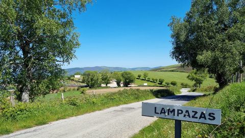 Carretera de entrada a Lampazas. Al fondo se ven las casas y también la explanada donde se situaban los conciertos
