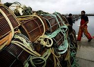La flota que faena entre cabo Silleiro y Con de Aguieira debe desembarcar las nasas cada d�a.