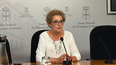 La diputada del PP, Gloria Garc�a, en rueda de prensa