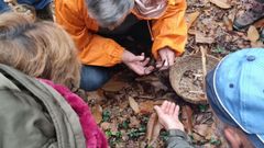 Actividad de Viriato en el Concello de Neda