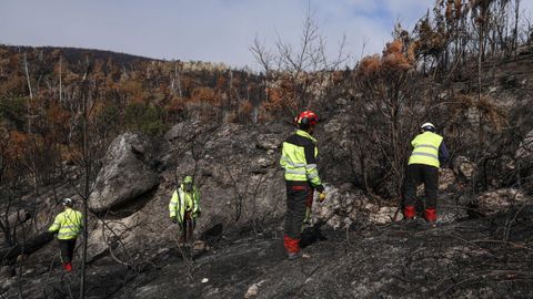 Trabajos en las zonas afectadas por los incendios forestales en Valdeorras, en septiembre