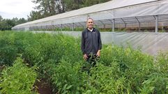 Jos� Manuel�Ferro, nunha leira s�a de pementos en Herb�n, situada xunto a un dos seus invernadoiros