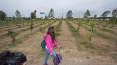 As� medra o bosque urbano de Lugo