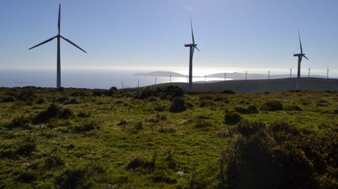 Uno de los parques eólicos de Dumbría, el de Paxareiras (antiguo nombre) en una de sus fases.