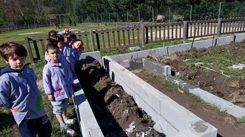 Alumnos del CEIP de Marc&oacute;n