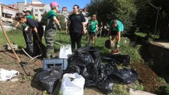 Voluntarios durante la limpieza del r�o Valdecorvos, en Pontevedra, este domingo