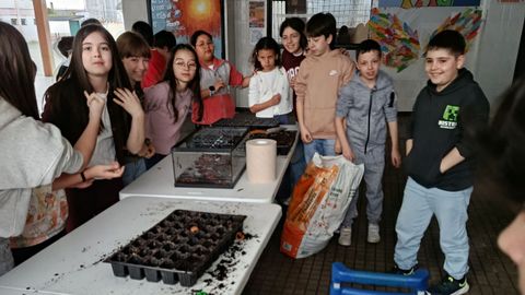 Os estudantes plantaron en sementeiras de diversas especies de �rbores aut�ctonas