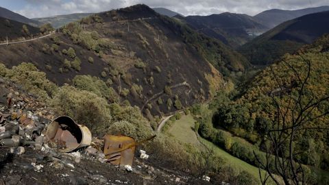 San Martn de Cereixedo, hace un ao. Los vecinos de esta aldea, que tuvo que ser desalojada, se encontraron todo el monte quemado. El rebrote en el terreno es lento porque la quema fue severa, por lo que la extensin de paja fue necesaria.