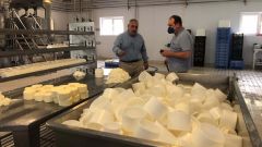 Javier Brea, en una queser�a