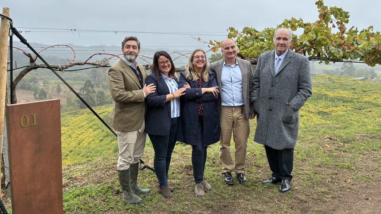 Diez años y 20 millones de euros: lo que le ha costado a Vega Sicilia elaborar en Galicia su primer blanco de España