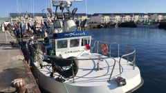 El cerquero Novo Xoel, atracado en A Coru�a en una imagen de archivo del a�o 2015