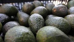 La venta de aguacate no ha dejado de crecer en los �ltimos a�os, donde destaca M�xico como el gran productor mundial