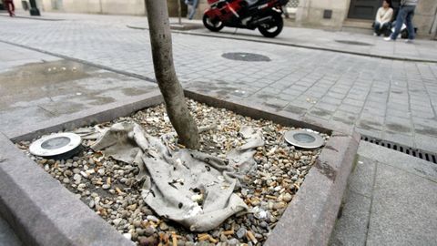 Alcorque de un �rbol en una calle de Vigo