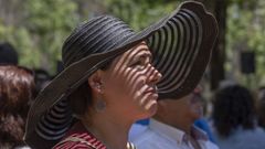 Protegi&eacute;ndose del calor en Santiago