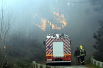 El viento aviv� las llamas del fuego, que arras� plantaciones de eucalipto y de especies aut�ctonas. 