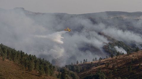 Un avin intenta apagar el fuego en Maceda, cerca de la aldea de A Teixeira.