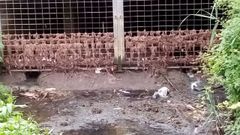 Aliviadero de El Piles