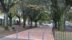El gobierno local de Frades se felicita por librar a Ponte Carreira de los estorninos