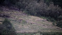 Lugar de la parroquia de Riob� donde fue encontrado el cuerpo de Julio