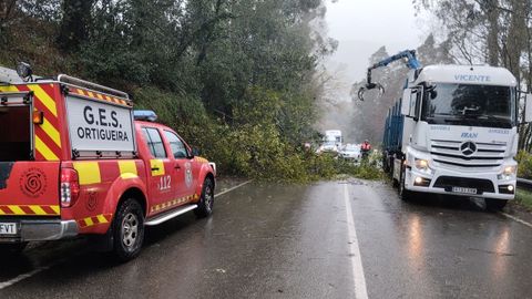 Intervenci�n del GES de Ortigueira en la carretera AC-862, en febrero, por la ca�da de un �rbol