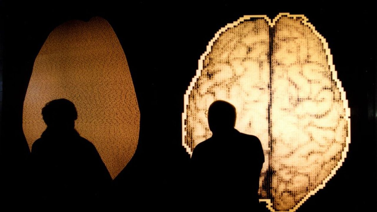 La mitad del cerebro humano permanece «despierta» cuando se duerme fuera de casa