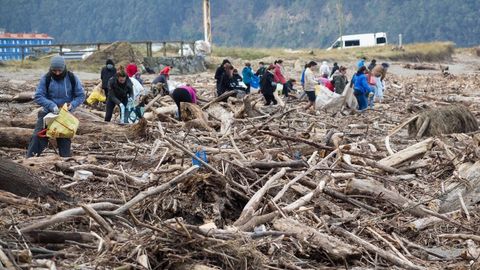 Voluntarios recogiendo residuos