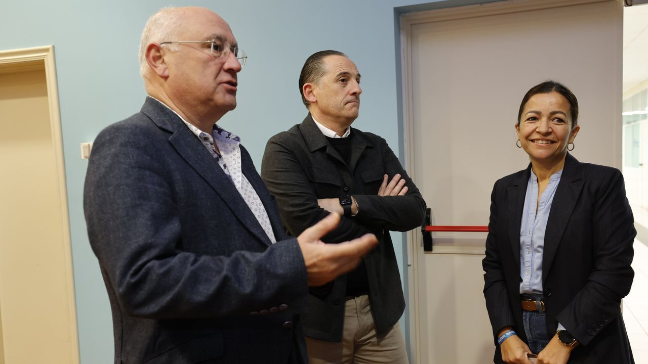 Científicos demuestran que solo dos de cada millón de anzuelos del palangre cogen especies vulnerables