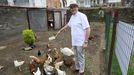 Juan Pablo Alonso Rolle d�ndoles de comer a las gallinas, en una imagen de archivo