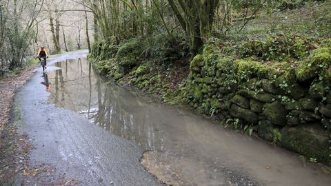 baches en la carretera que va al monasterio de Caaveiro, en las Fragas do Eume