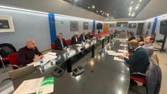 Patronato de la Fundaci�n Oso