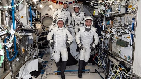Los cuatro astronautas de la misi�n SpaceX Crew-11, en una imagen difundida por la Nasa