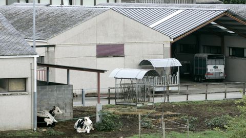 Instalaciones del hospital veterinario de Lugo