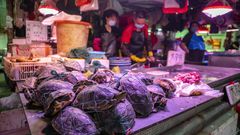El mercado de Xihua, en Cant�n (China)