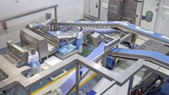 La f�brica de Congalsa, en A Pobra do Carami�al