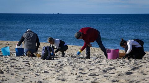 Barbanza se echa a las playas para limpiar el vertido de pellets de plstico