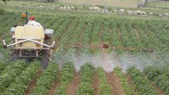 La Uni�n Europea quiere acabar con la obligaci�n de renovar peri�dicamente el permiso para utilizar pesticidas