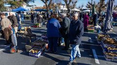 Imagen del mercado de ayer en Paiosaco