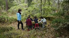 Los nios juegan y aprenden en lugares como este claro en un bosque en Castro de Beiro.