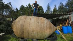 Jos� Vilanova la guarda en una de sus fincas de Carballo debido a su gran tama�o