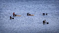 Un grupo de furtivos, ayer por la tarde en la r�a