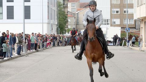 FERIA CABALLAR Y MAQUINARIA AGRICOLA EN SAN MARCOS