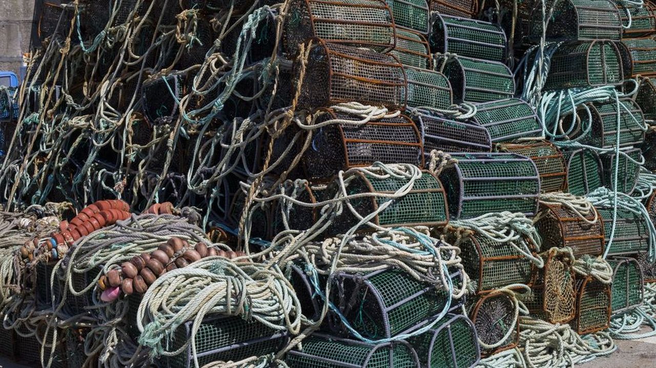 CTAG y Cepesca desarrollan en Galicia Redismar, un proyecto de reciclaje