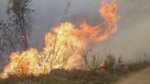 Incendio forestal en Asturias. ARCHIVO