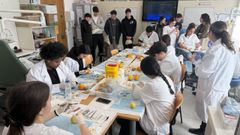 Visita a la sala de demostraciones de enfermer�a