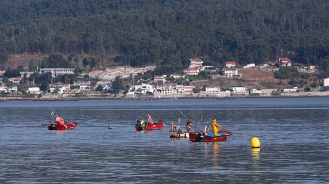 Los mariscadores de a flote en la ra de Pontevedra volvern al trabajo el jueves 9