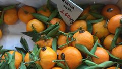 Las clementinas est�n en plena temporada
